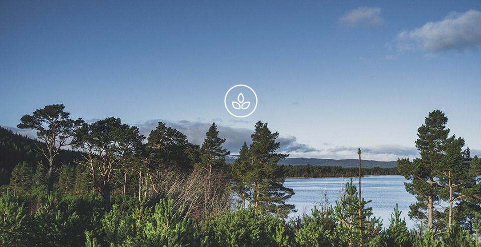 BeWooden - Products made with love
