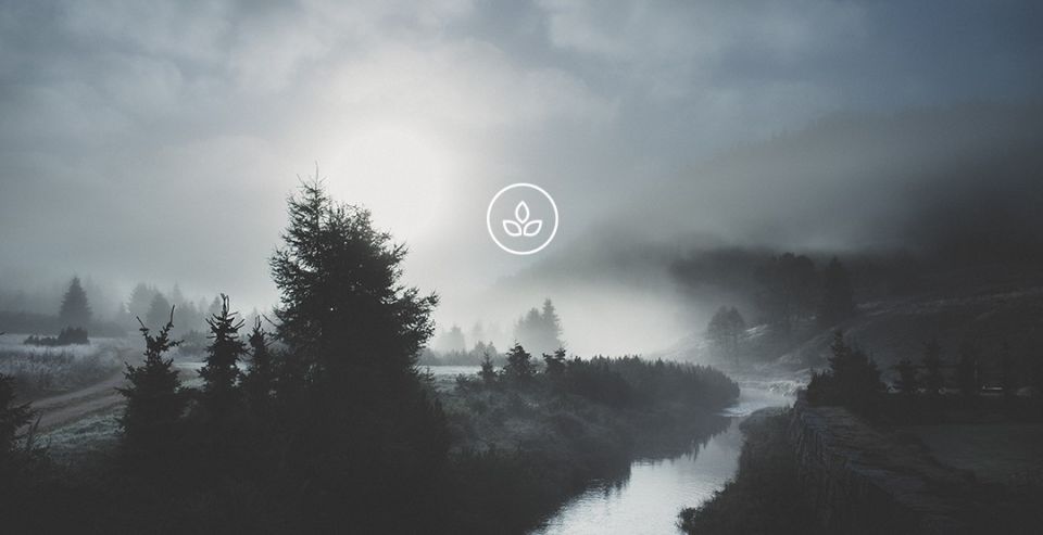 BeWooden -