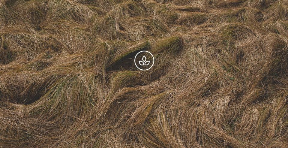 BeWooden - Fotografie přírody s logem udržitelnosti