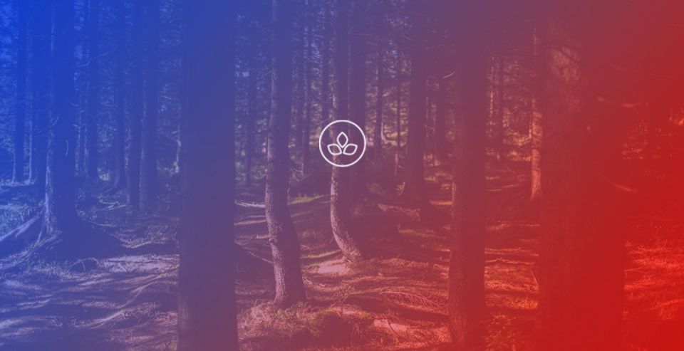 BeWooden -