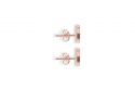 Rose Earrings Circle