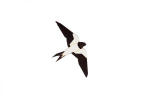 Dřevěná brož Swallow Brooch