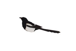 Dřevěná brož Magpie Brooch