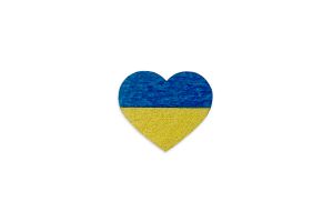 Ukraine Brooch