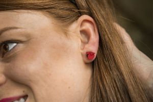 Dřevěné náušnice Red Cutebird Earrings