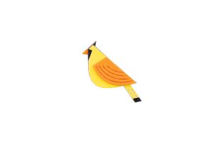 Sunny Cutebird Brooch