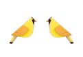 Dřevěné náušnice Sunny Cutebird Earrings