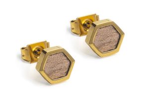 Kovové náušnice Apis Earrings Hexagon
