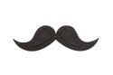 Dřevěná brož Moustache Brooch