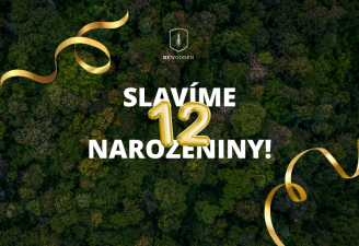 12 let BeWooden: Objevte 12 nejoblíbenějších dřevěných produktů