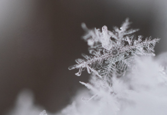 Významy jmen v lednu: příběhy a tipy na originální dárky k svátku