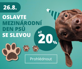 BeWooden - 2_novinky