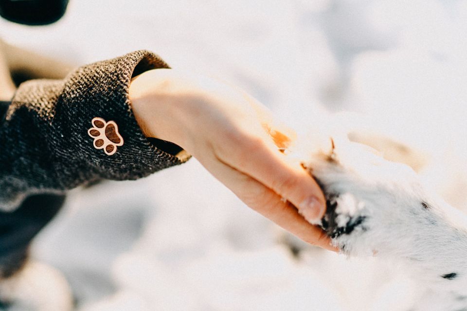 paw_brooch_photo