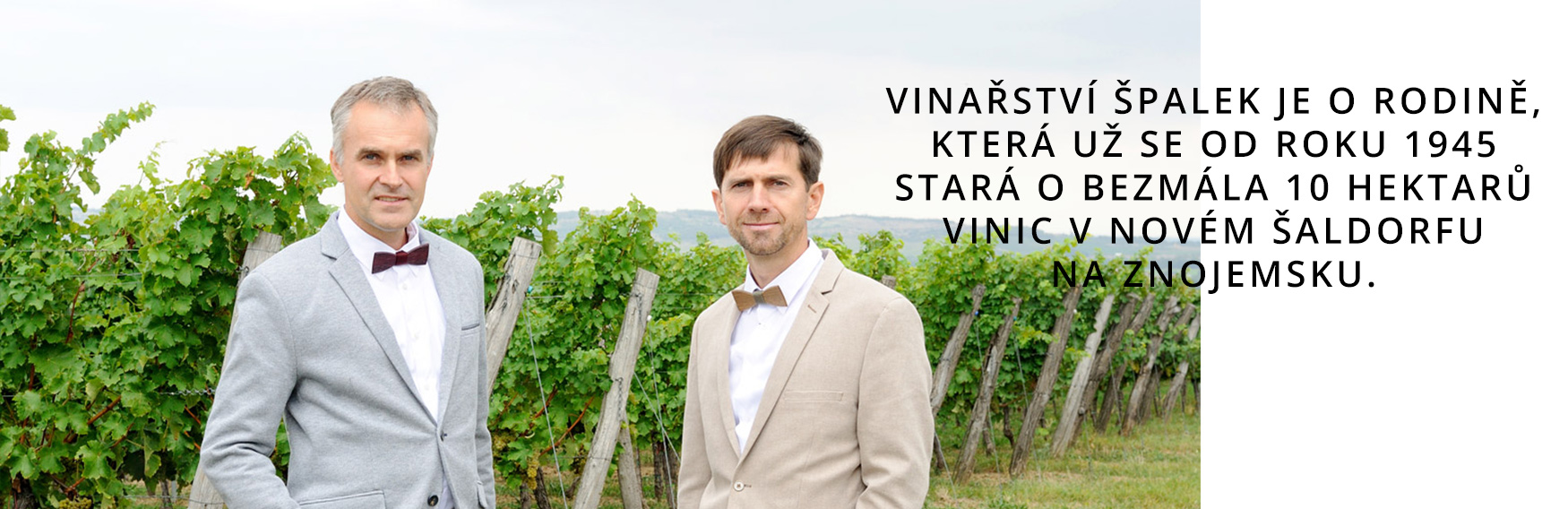 vinice_kolaz