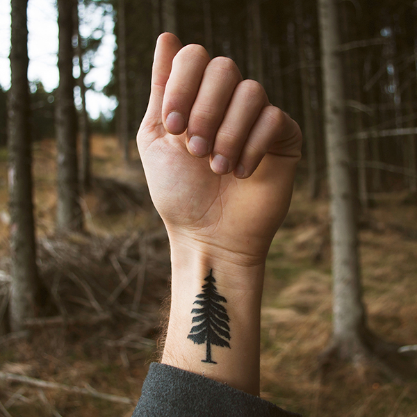 Eine männliche Hand mit einem Tattoo mit einem Baum als Motiv